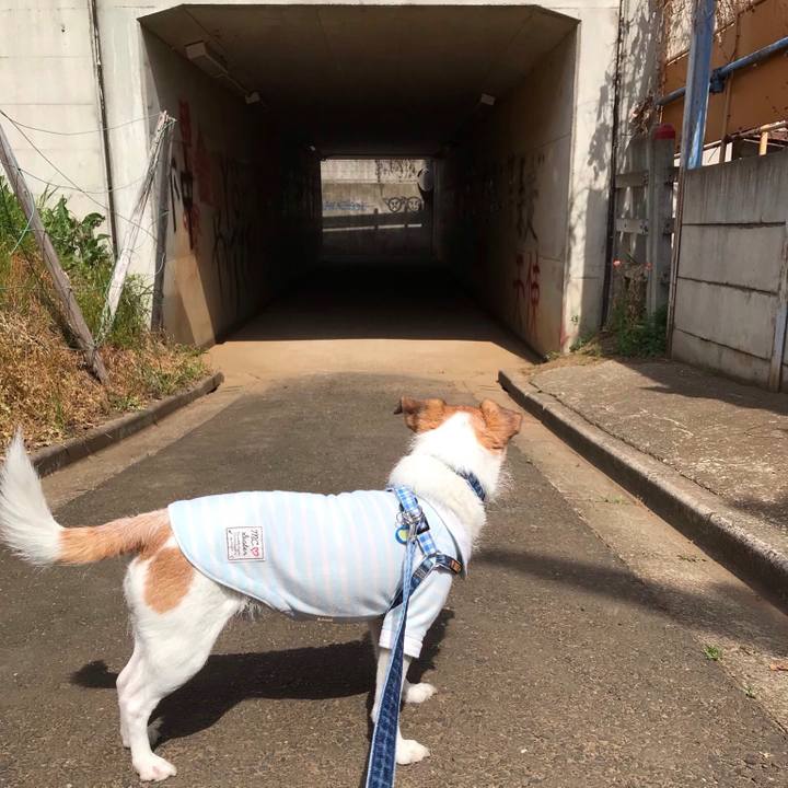 3e92678e 7994 4b33 ba61 f25897eebf3d 1554452427160