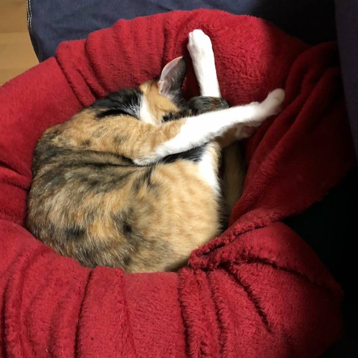 3e929f8f cf02 48fd 8a8d eed7498b393c 1526648083375