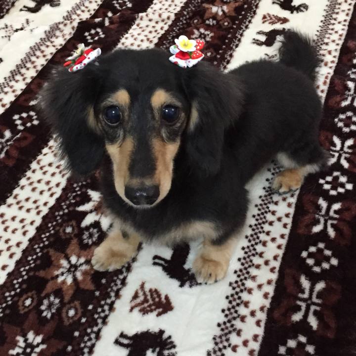 3e92a085 1443 4ceb af90 c77addd77bf4 1516584952533