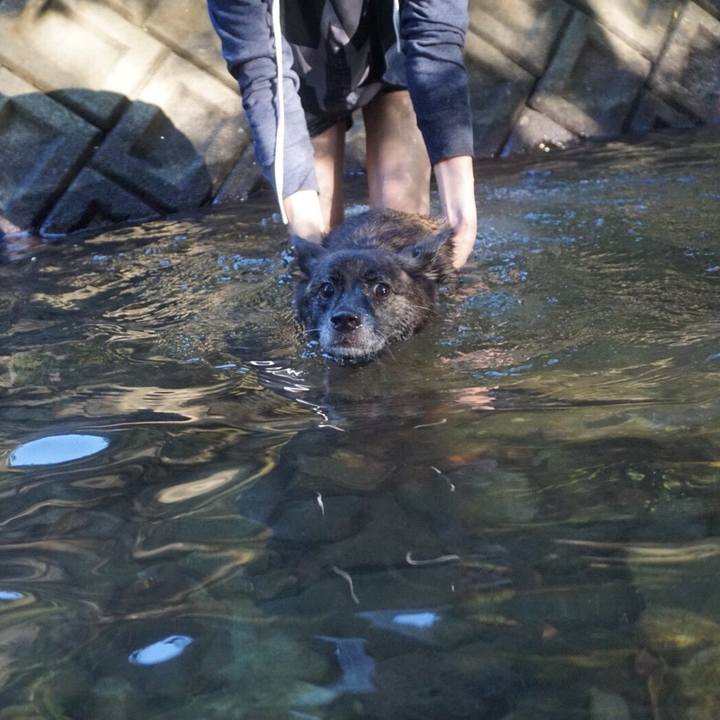 3e92b7bf 66c6 4b0b bc78 60a1c5cea6f2 1537707831400