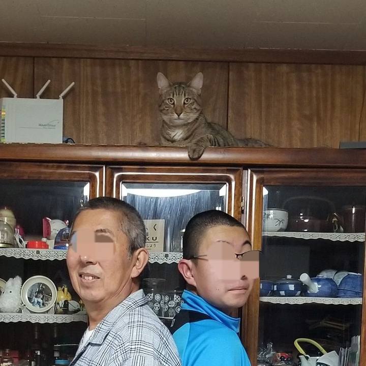 3e92c84f 39df 4717 8ab1 8419ebf105f2 1626874115650