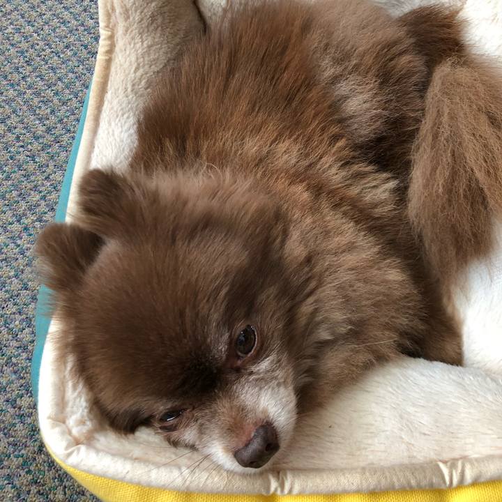 3e9309ac 838d 4b9f a083 ba6499c716a1 1557106281674