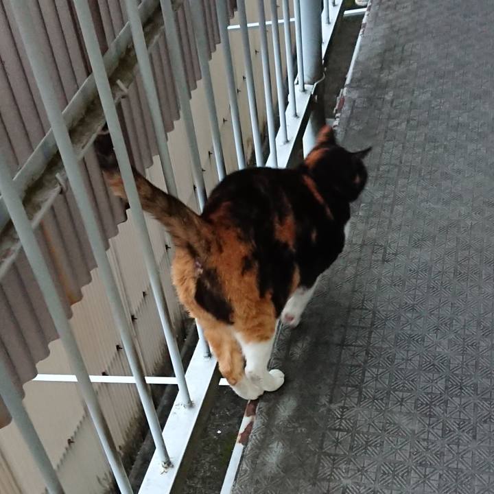 3e934ceb 97f2 42c8 87c1 15b0a89102ab 1669421762682