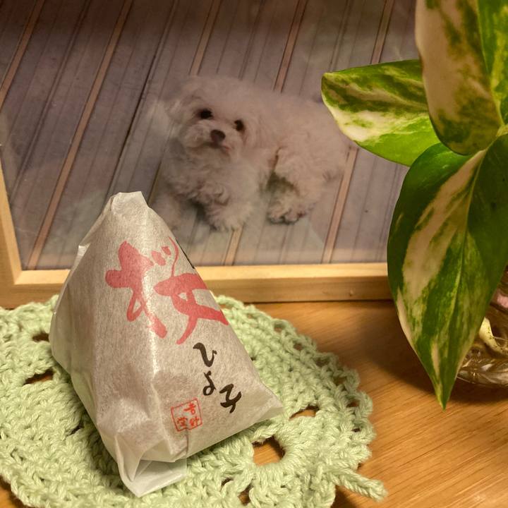 3e93580f 5d61 4907 a5a0 877a997cf14e 1679224422490