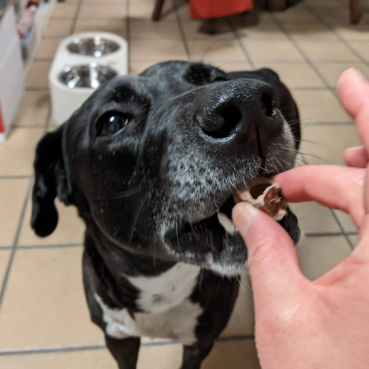 3e936668 592b 4ba3 bc70 a37c03ac97bd 1648219034893