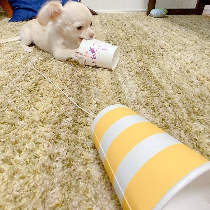 3e9366c8 6511 4caf 8213 5aea4e42dada 1592385504427