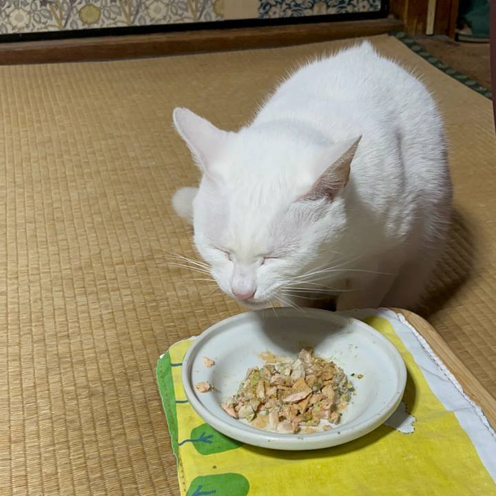 3e93670d c268 483f 9b82 8e3adb83701a 1772627299895