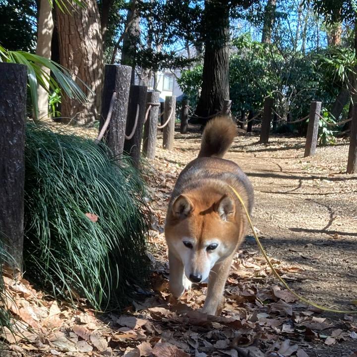 3e93776b cbe7 4e9c b330 e8683fa91458 1645761911842