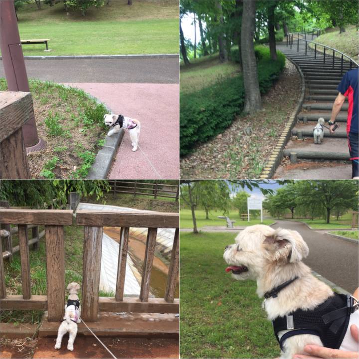 3e937d5d 1b8a 4ca6 995e ea6316bc3192 1530182454757