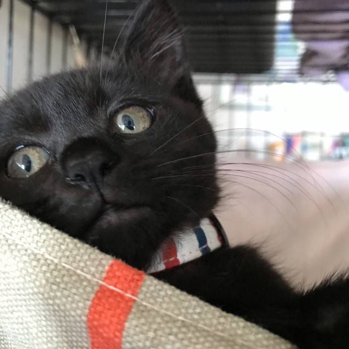 3e9392f9 be35 4ee8 b2dc c37c970fcef8 1659586338188