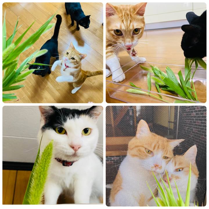 3e93bd6a f35e 4c89 8986 e52beb9c4dc9 1654133113740