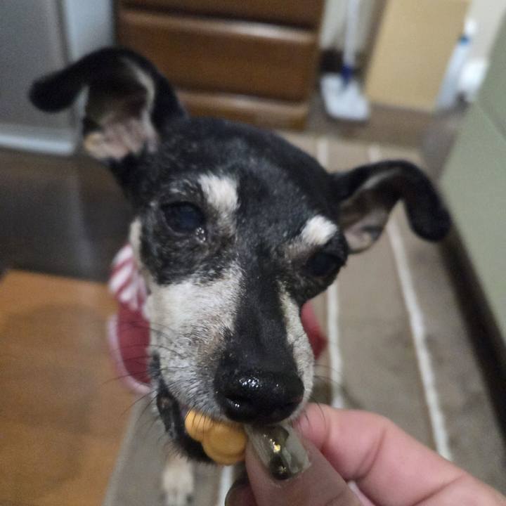 3e93d24e a9a8 4e7b 97ae 9ec320c183e2 1769629663006