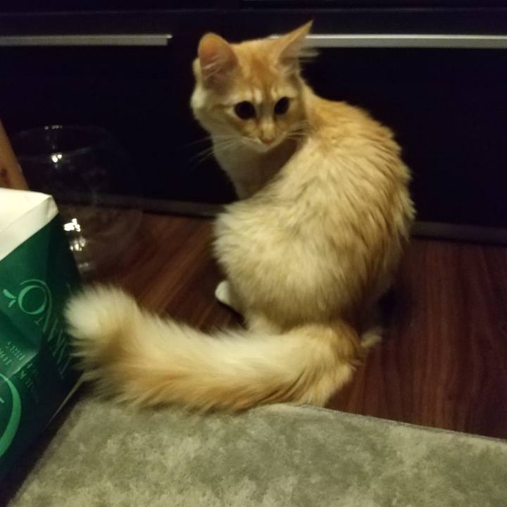 3e93db7e 952a 47da bb40 76a8d0471952 1614116991198