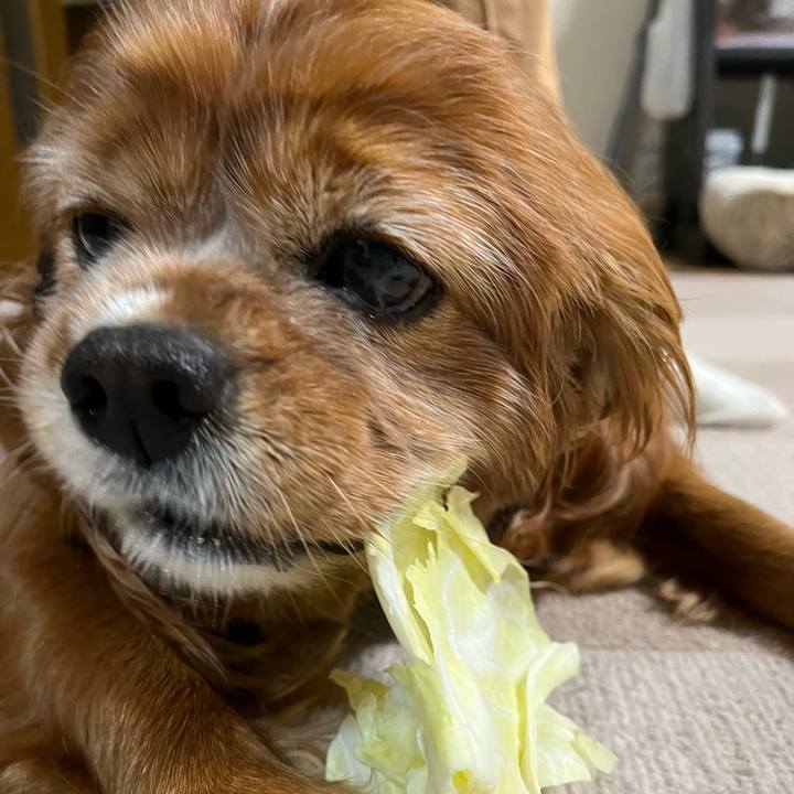 3e93e894 59c1 4731 aaea 4d1bf84e7f5f 1747751896842