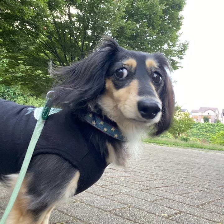 3e93f2e6 12fe 44da b7d8 f727afd77b68 1759020065456