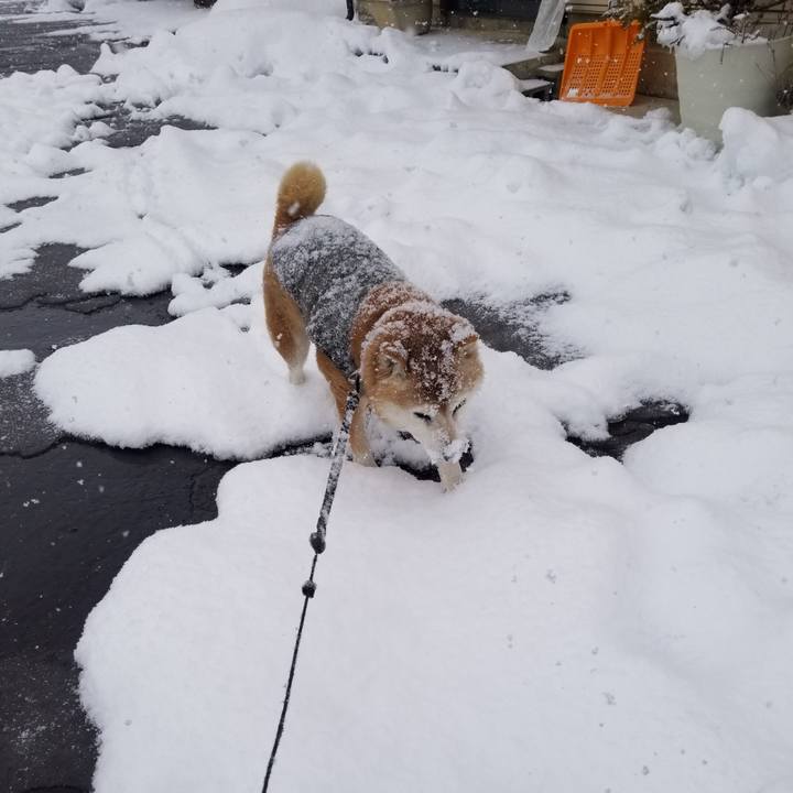 3e93f85a 40ec 48c7 9999 70cca5449add 1740194273225