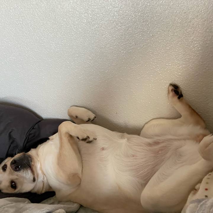 3e940e31 13c3 4202 977d ee635d4264b7 1648769458522