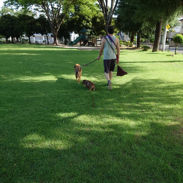 3e9469ec 5f4c 45dd aa89 9259757ca53f 1688687230253