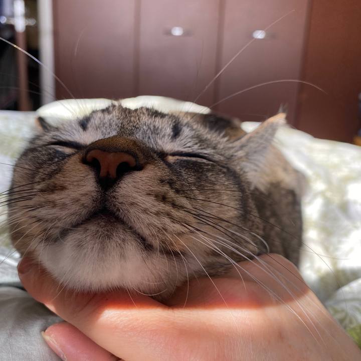 3e946da9 e819 4930 82e7 cbd4d19bf85b 1608010147937