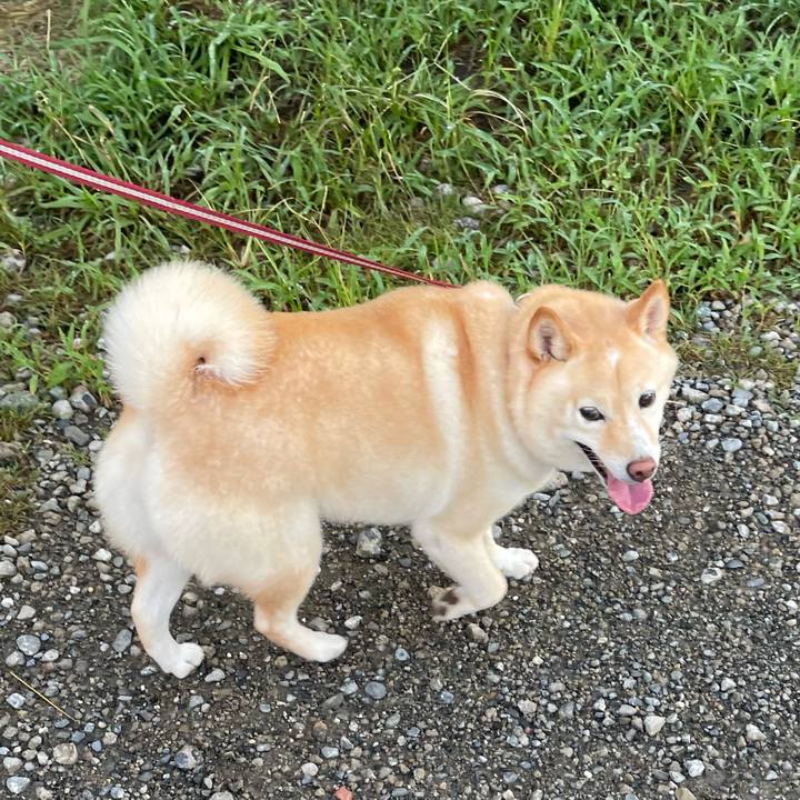 3e9476d6 6ae9 455e a9ff b58f60fe26be 1722458588337