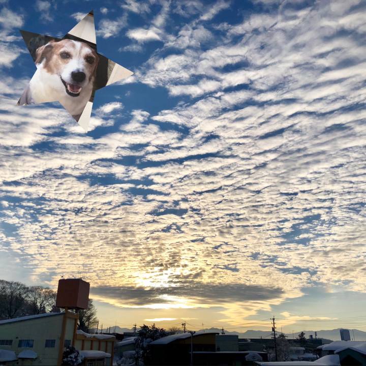 3e9487eb 6b6a 46de 8510 3d17099bc1f3 1547074605628