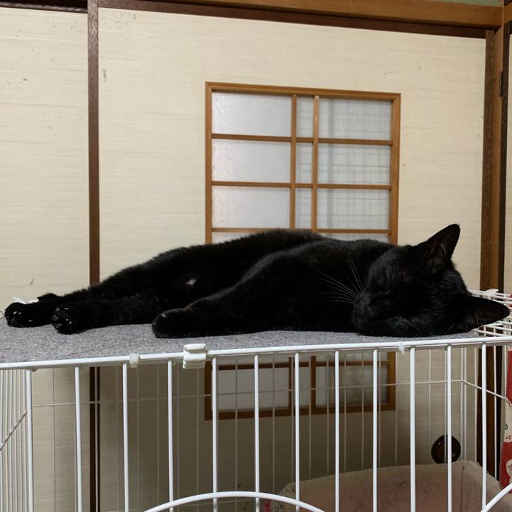 3e94ba35 a94b 408c 9ae5 6e5c5d38bcf1 1556585908662