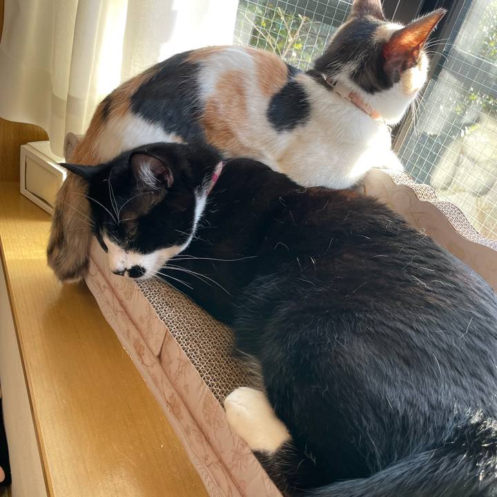 3e9521d4 6bc3 41f8 8cff 9d8ef6945cc8 1672960880850