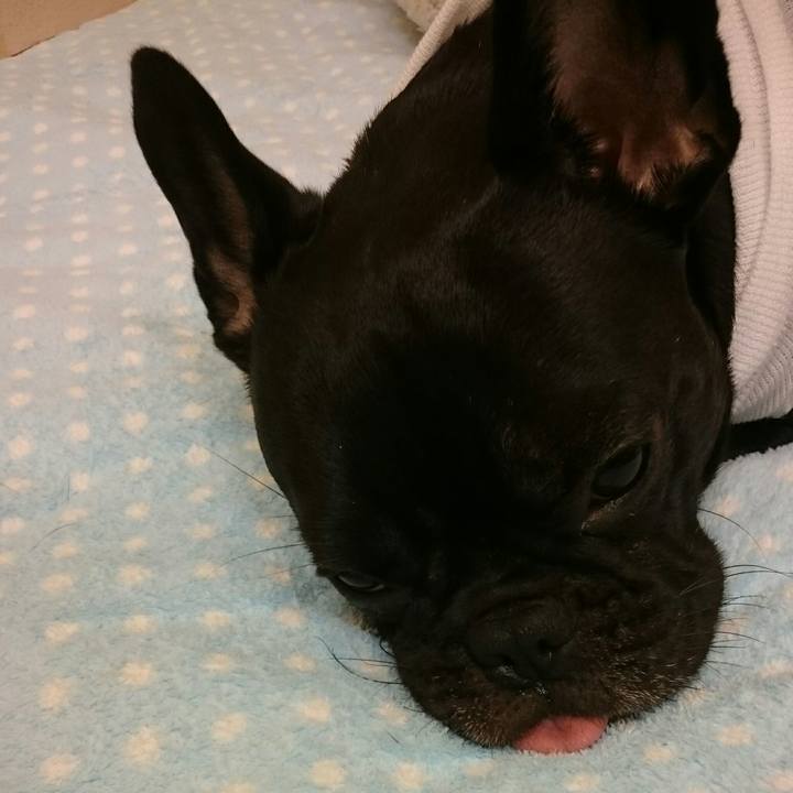 3e954021 6ac6 4dc5 82ff 0c6d8b88acda 1512185857950