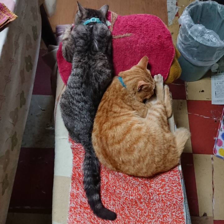 3e956465 9dd7 495c bf80 1ea2b61862a7 1557007439008