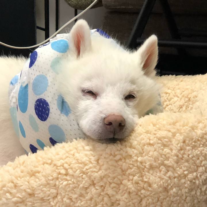 3e9575e5 0dbd 40b3 b2a2 34b2670cfe58 1637542384096