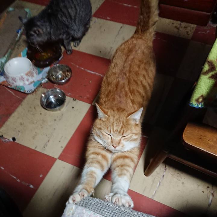 3e95950f 2928 40e7 a731 e5ed4089538b 1578858813488