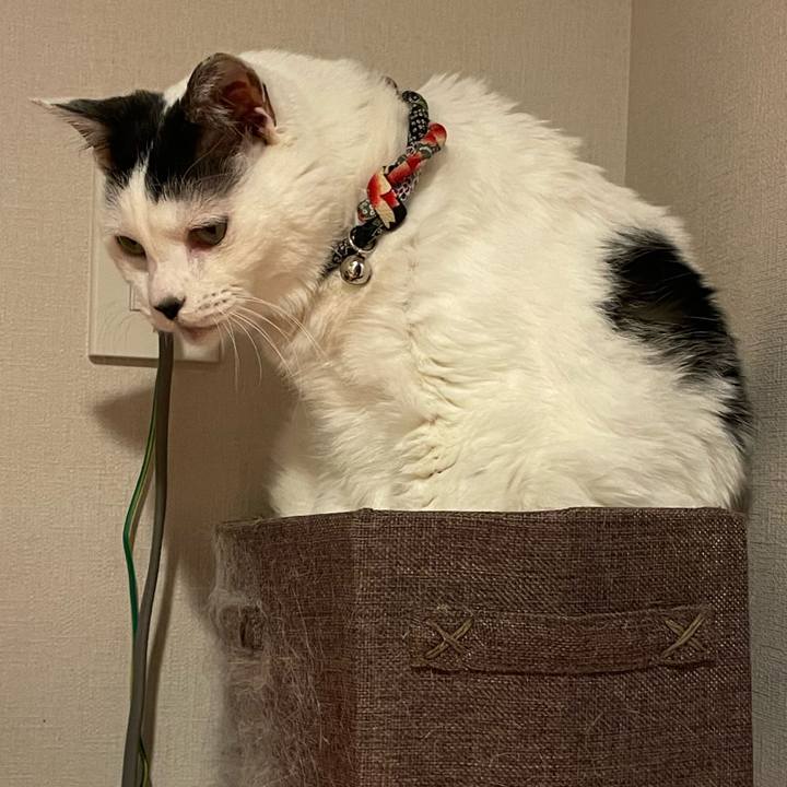 3e95bac5 6fcd 496b b043 93e5f4122498 1745333716816