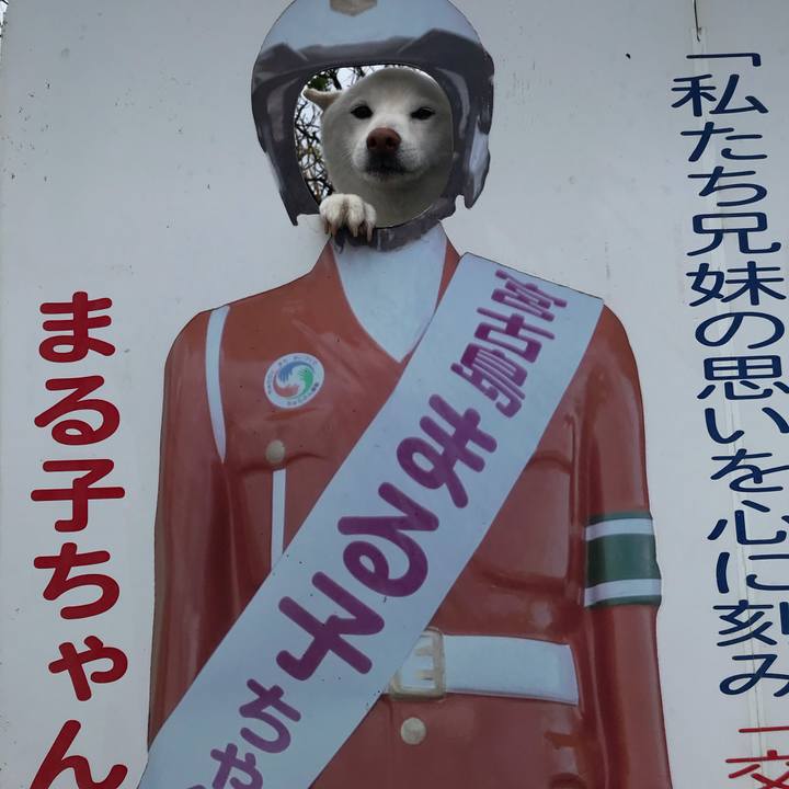 3e95c6a3 00aa 4dbb a595 a38bc7152867 1569057801910