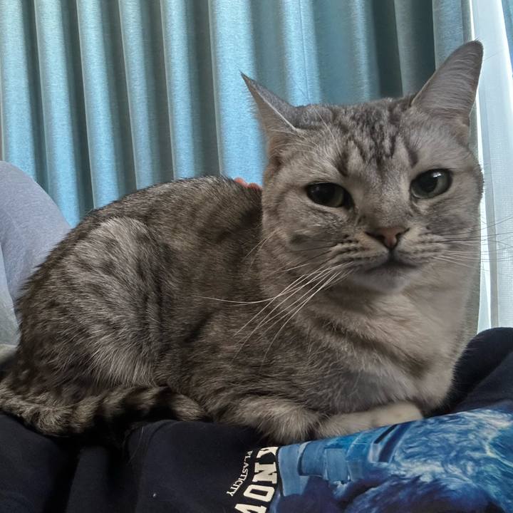 3e95c97b ffca 4b86 bdc2 3c4eb817bd95 1735433227350