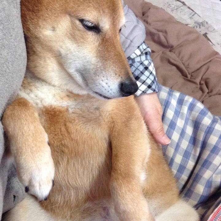 3e95d367 ce17 4890 8cdb 8bbf8a012908 1522197690412