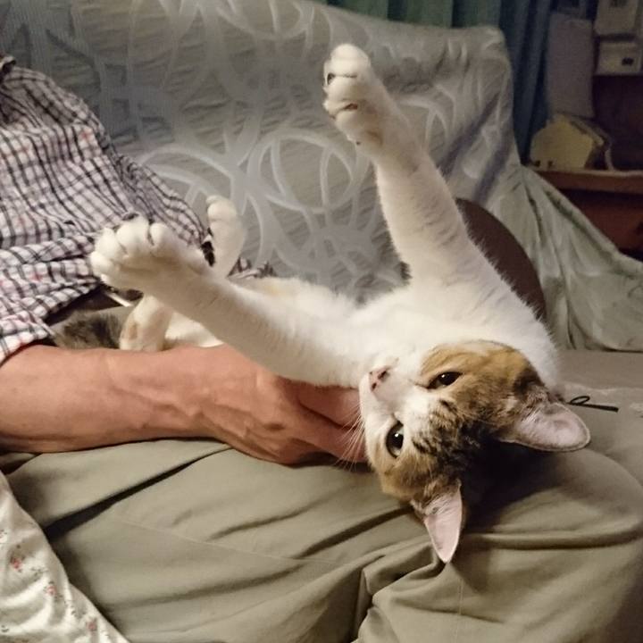 3e95e6e6 3519 4a4b 9d67 8832538d507e 1600521938710