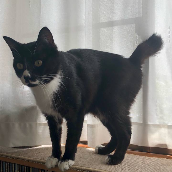 3e962b3b 8d50 4168 8cb2 4c51b189f731 1662089995524