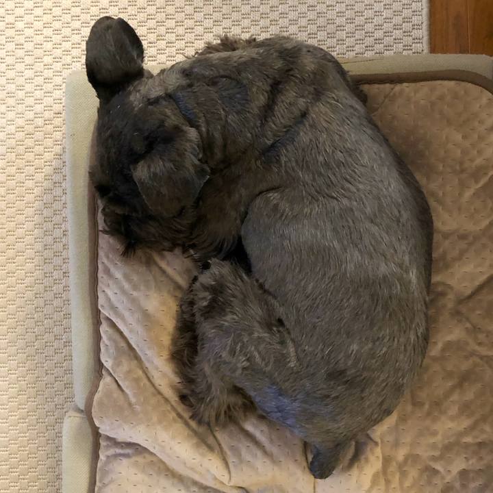 3e962faa 4da5 454b 96b1 aaec1024df93 1676158546591