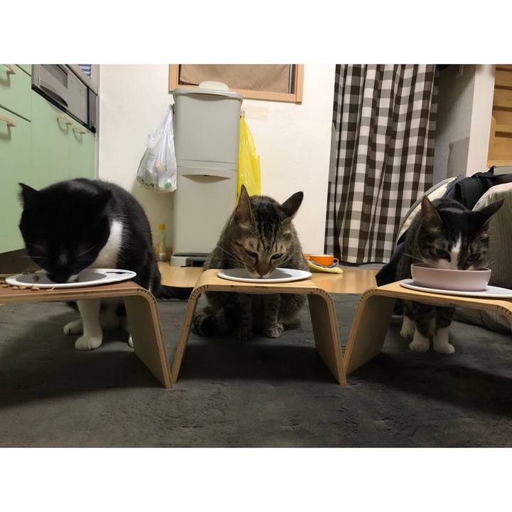 3e966de9 8681 4bd8 8dc6 f81ae5dad35f 1641590596593