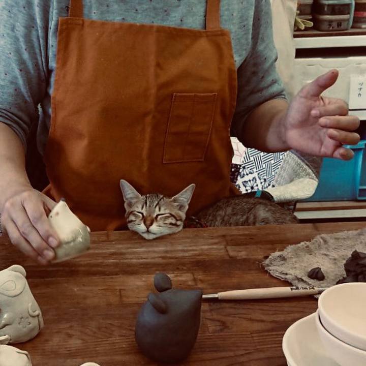 3e9689de 7355 4bb3 813e 7a30ad0a4124 1578969030664