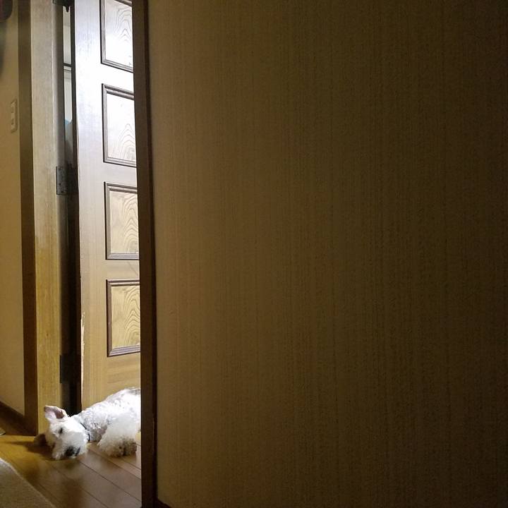 3e968b84 0648 42ef ac68 d42d8bbb4ac4 1567693280093