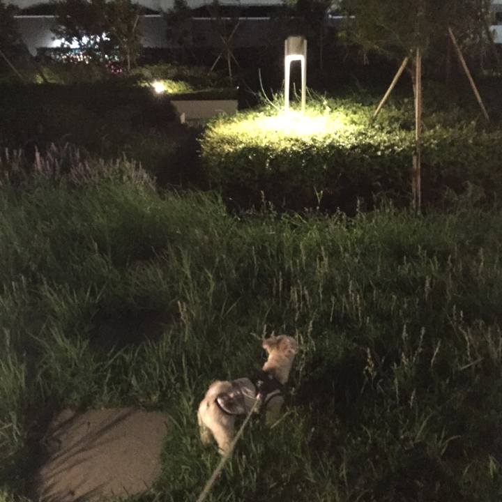 3e96ae1e 1bd7 486a 98f7 bc2efa5b675c 1565353704751