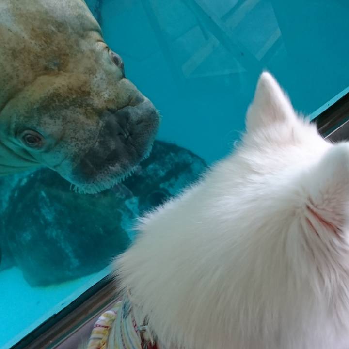 3e96b0c2 e5f2 409b 9dbf def18af7b8b0 1541823708323