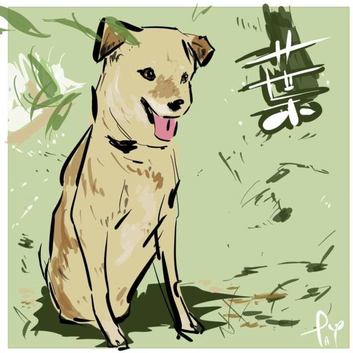 3e96b9f7 4c74 43ae a1a8 33a9762b6c07 1663297267878