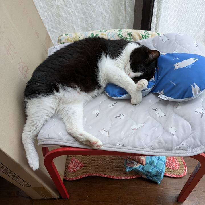 3e96c066 3335 4858 9547 56d2b976ebad 1755844001036