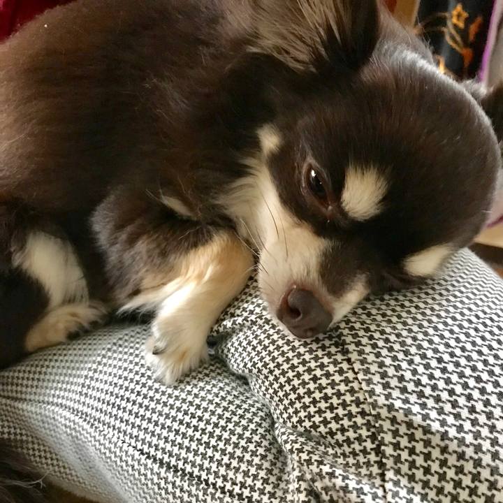 3e96f1a7 53c4 4eb6 9b0f 55c18162c18c 1512098911385