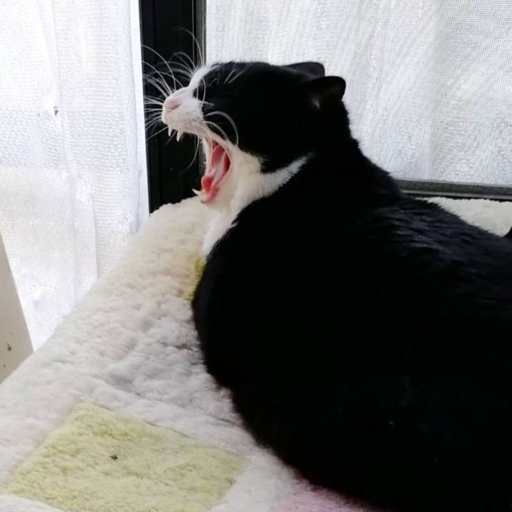 3e9711db fef6 4fbf 935b dd623481dedb 1611129837805