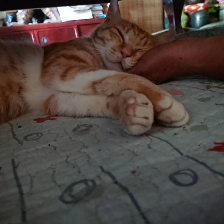 3e971801 bded 4b74 9613 1d5ec8ca7576 1563684477429