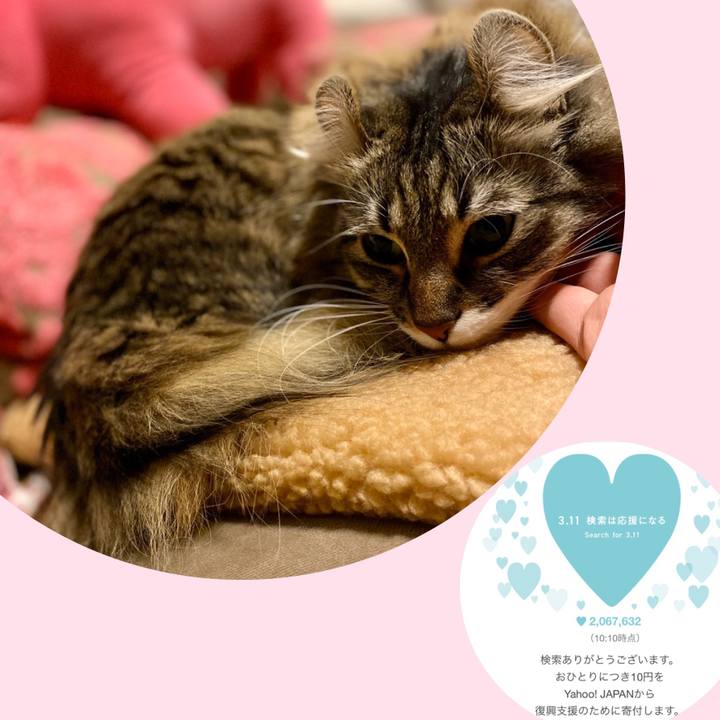 3e9745b7 1fa4 404a aa1a 86de80510b14 1583903226175