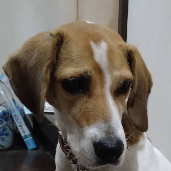 3e974c29 6cd9 4dca b167 85617872f0f3 1635166528405